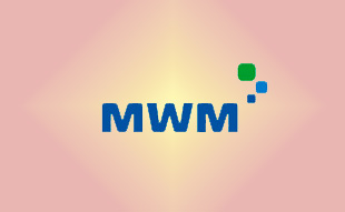 ✓ MWM 1240 4596 EE Модуль SERMOD 1.0 
